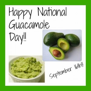 national-guacamole-day-3-300x300