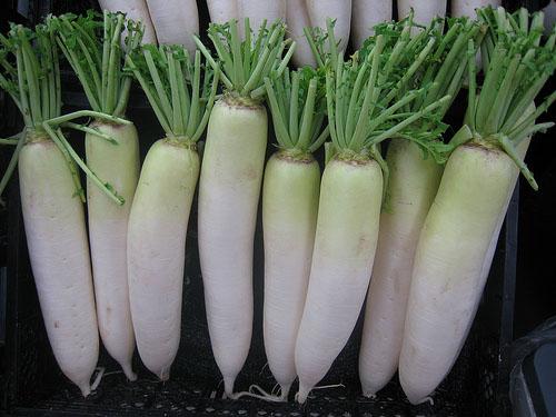 Daikon – My Mirepoix