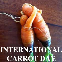 international-carrot-day